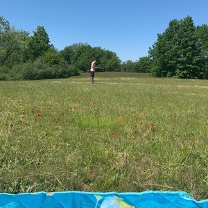 Meet your Posher, Awilda